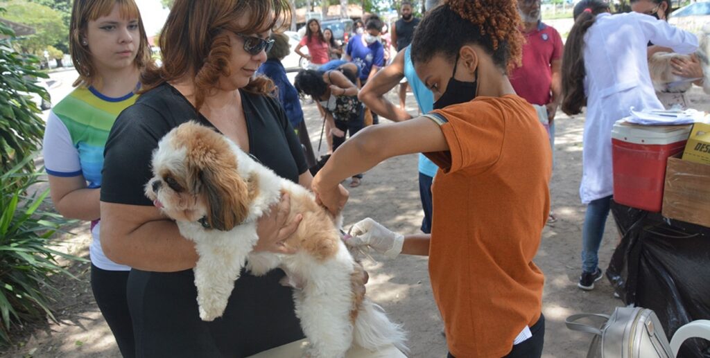 Campanha de vacinação contra a raiva ocorre em 15 bairros de Feira de Santana neste sábado