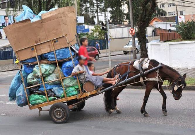 Prefeitura de Feira ignora lei que prevê retirada de carroças do centro urbano, denunciam vereadores