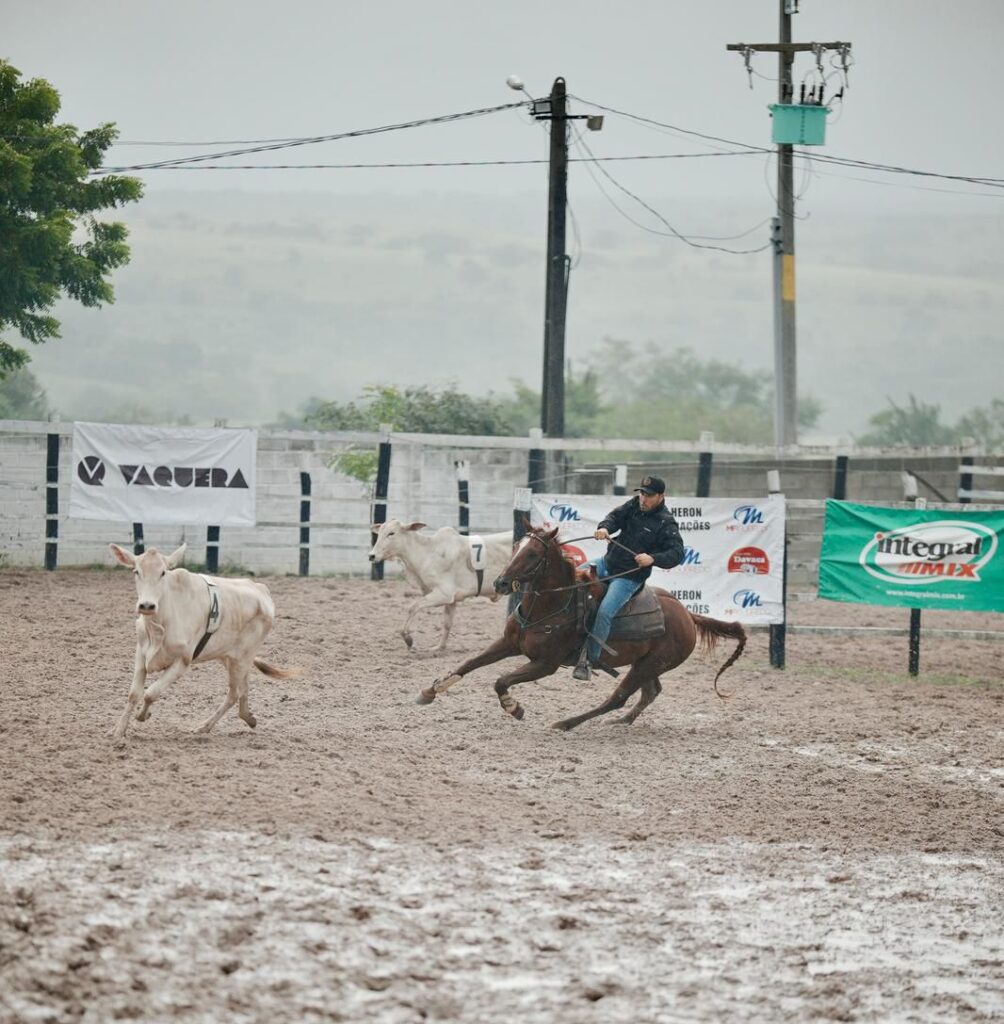 6ª Etapa do Campeonato Baiano de Team Penning será realizada durante a Expofeira no Parque de Exposições de Feira de Santana