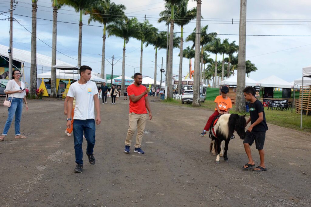 Mini bois e pôneis chamam atenção de adultos e crianças na Expofeira 2024